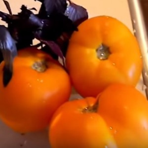 Свежие оранжевые помидоры