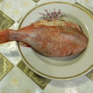 Рыба морской окунь фото